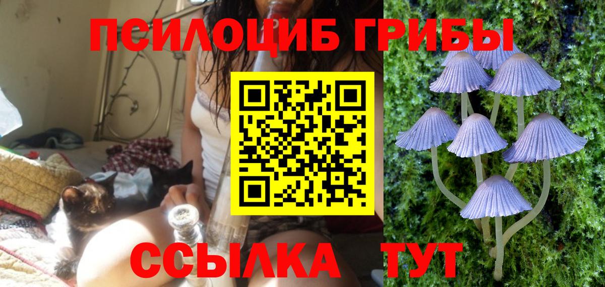 Ногинск  Псилоцибиновые грибы прущие грибы  Вход с VPN  Галлюциногенные грибы прущие грибы 
