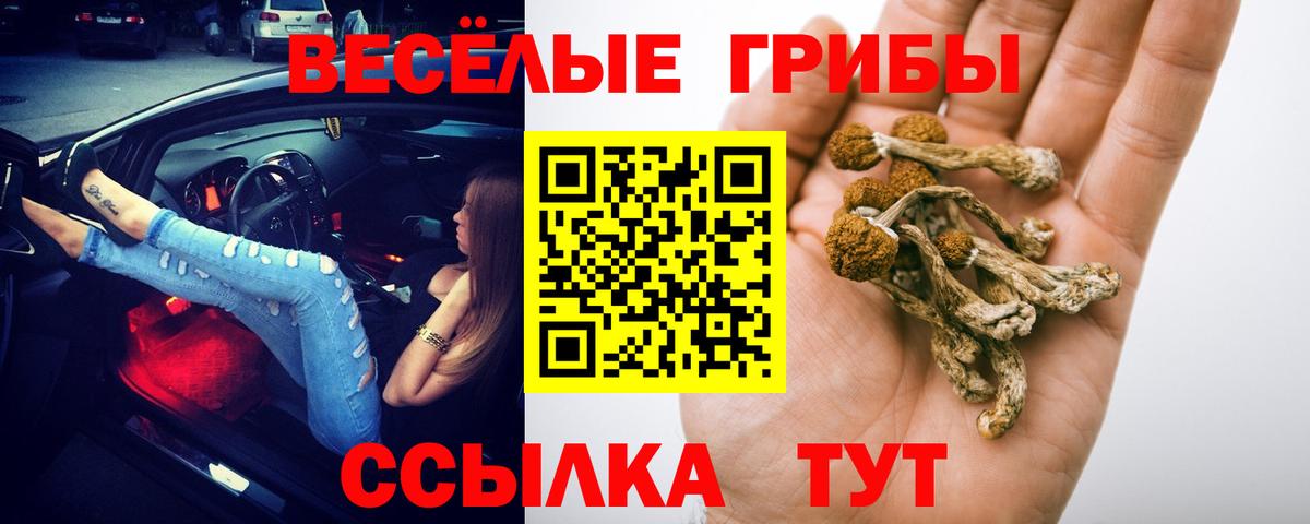 МДМА  Меф кристаллы  Ногинск  Канабис  Кокаин  Вход с VPN  Продажа наркотиков  APVP СК кристаллы  ГАШИШ 