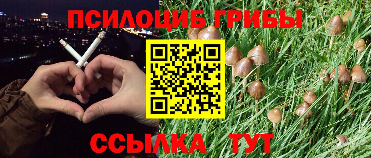 Галлюциногенные грибы ЛСД Ногинск